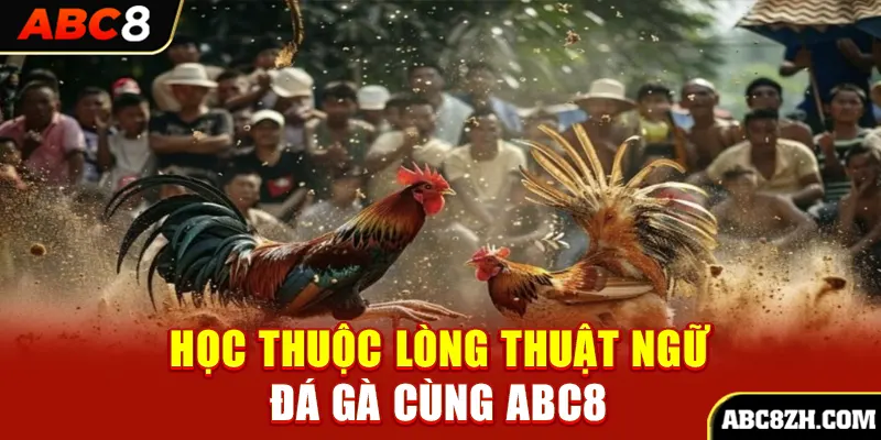 ABC8 chia sẻ thuật ngữ đá gà cho hội viên