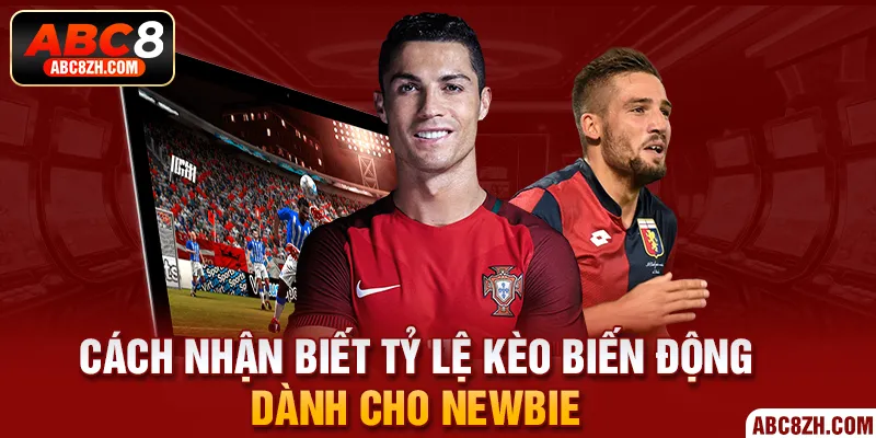 Cách nhận biết tỷ lệ kèo biến động dành cho newbie