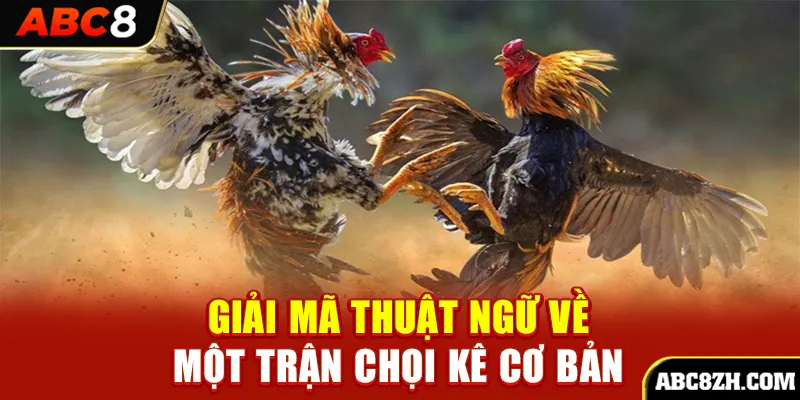 Giải mã thuật ngữ về một trận chọi kê cơ bản