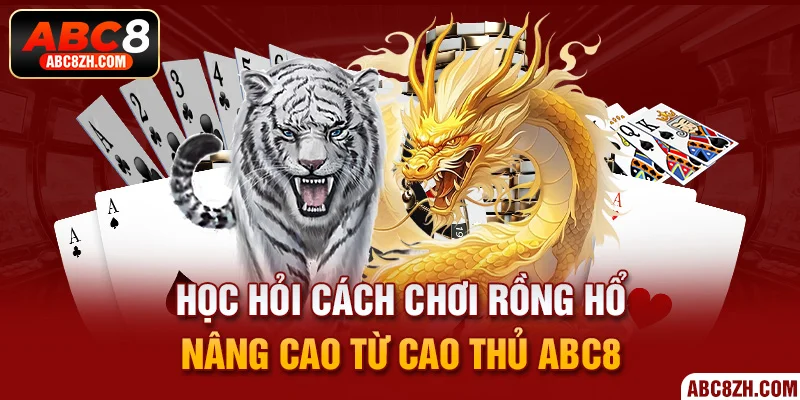 Những cửa cược xuất hiện trong game cược Dragon Tiger