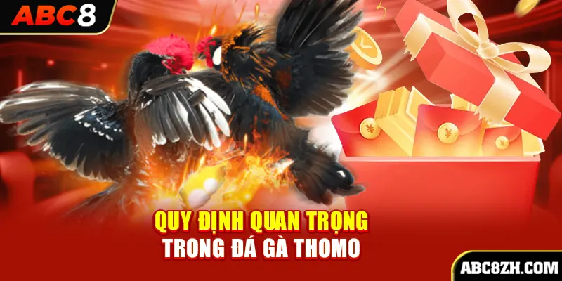 Tóm tắt quy định quan trọng trong đá gà Thomo