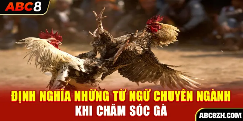 Định nghĩa những từ ngữ chuyên ngành trong việc chăm sóc