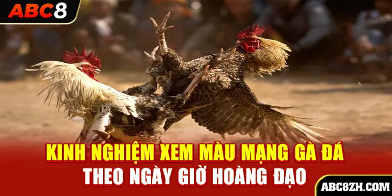 Kinh nghiệm xem màu mạng gà đá theo ngày giờ hoàng đạo