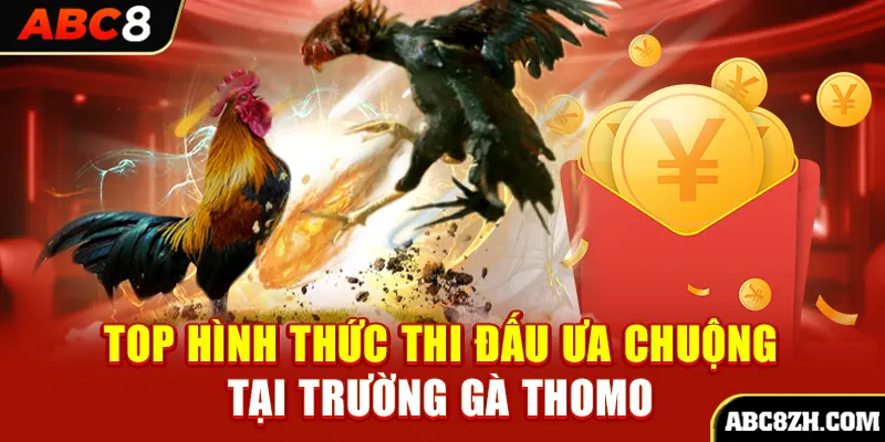 Top hình thức thi đấu được ưa chuộng tại trường gà Thomo